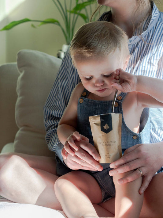 Nora’s Kitchen Granola, Vegan, Gluten-Free Bags - 24 bags x 2.5oz case