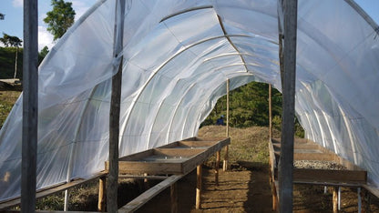 Nossa Familia Coffee Nicaragua - Finca San Jose de las Nubes - Washed Process