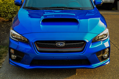 Original Grille Pinstripe - 2015-2017 WRX / STI