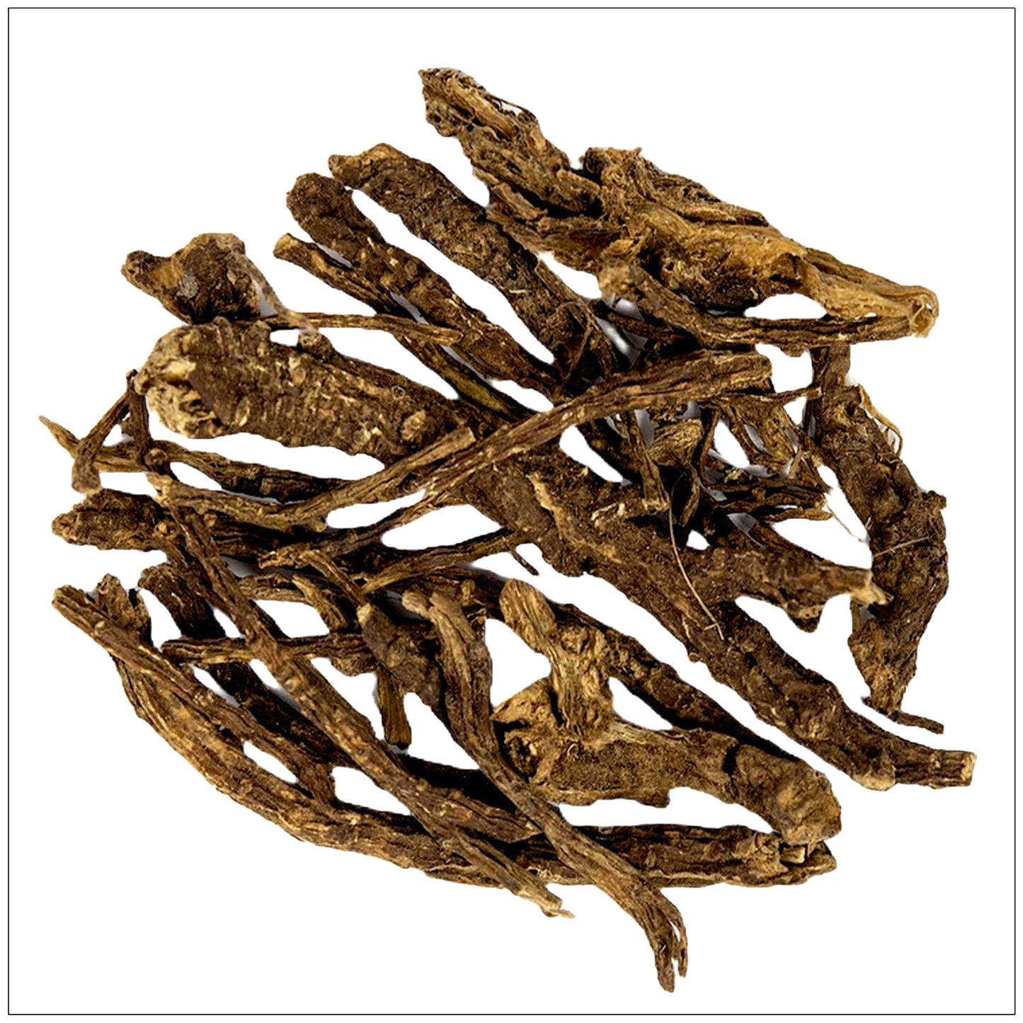 Osha Root