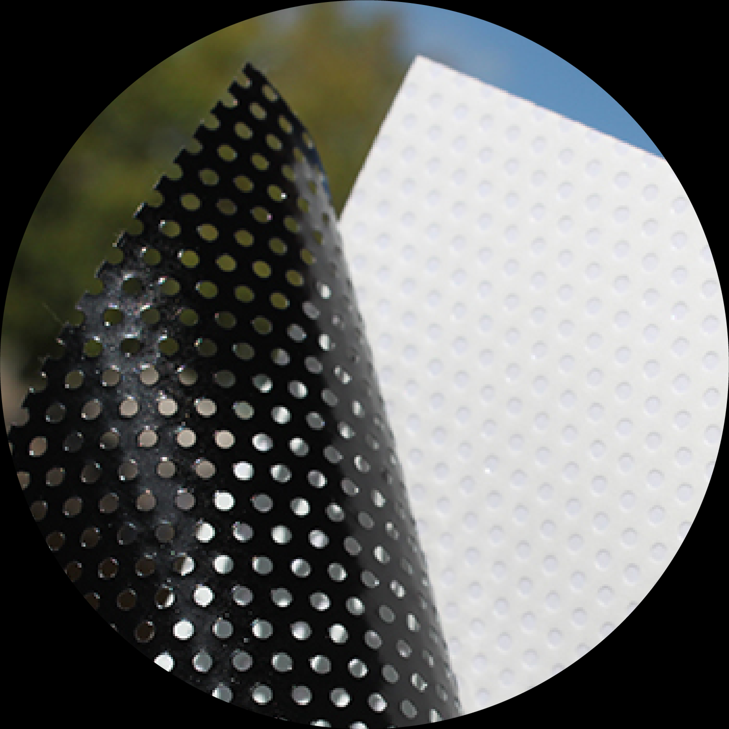 Texas round headlight decals