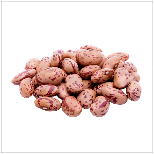 Pinto Beans