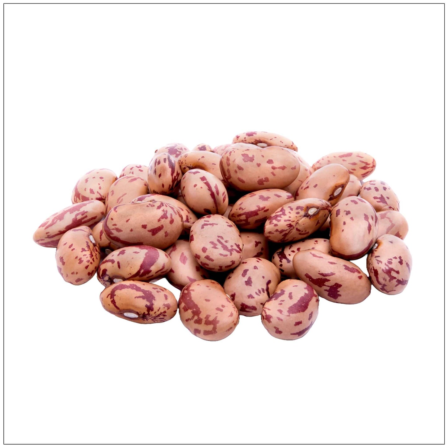 Pinto Beans