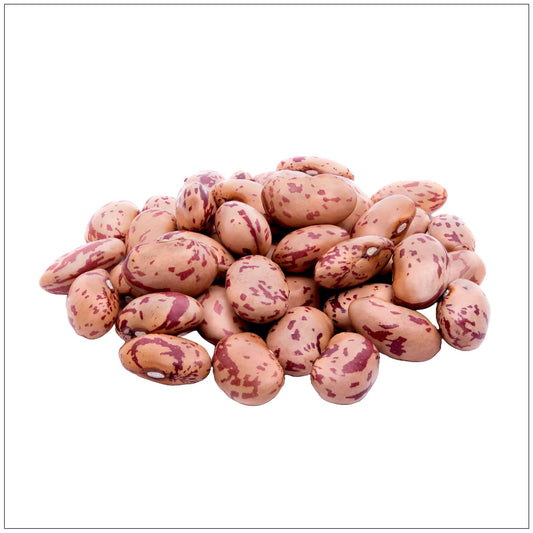 Pinto Beans