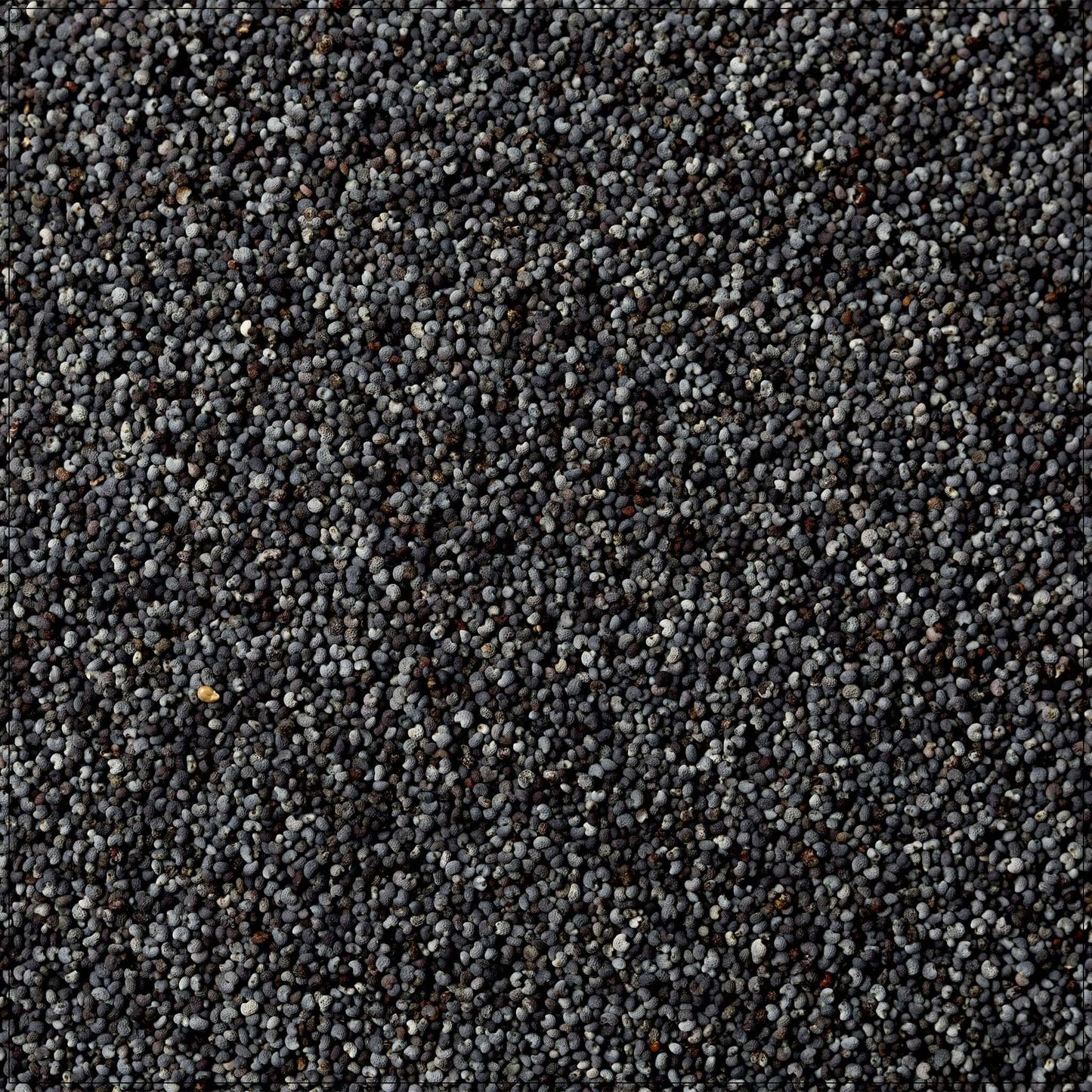 Poppy Seeds