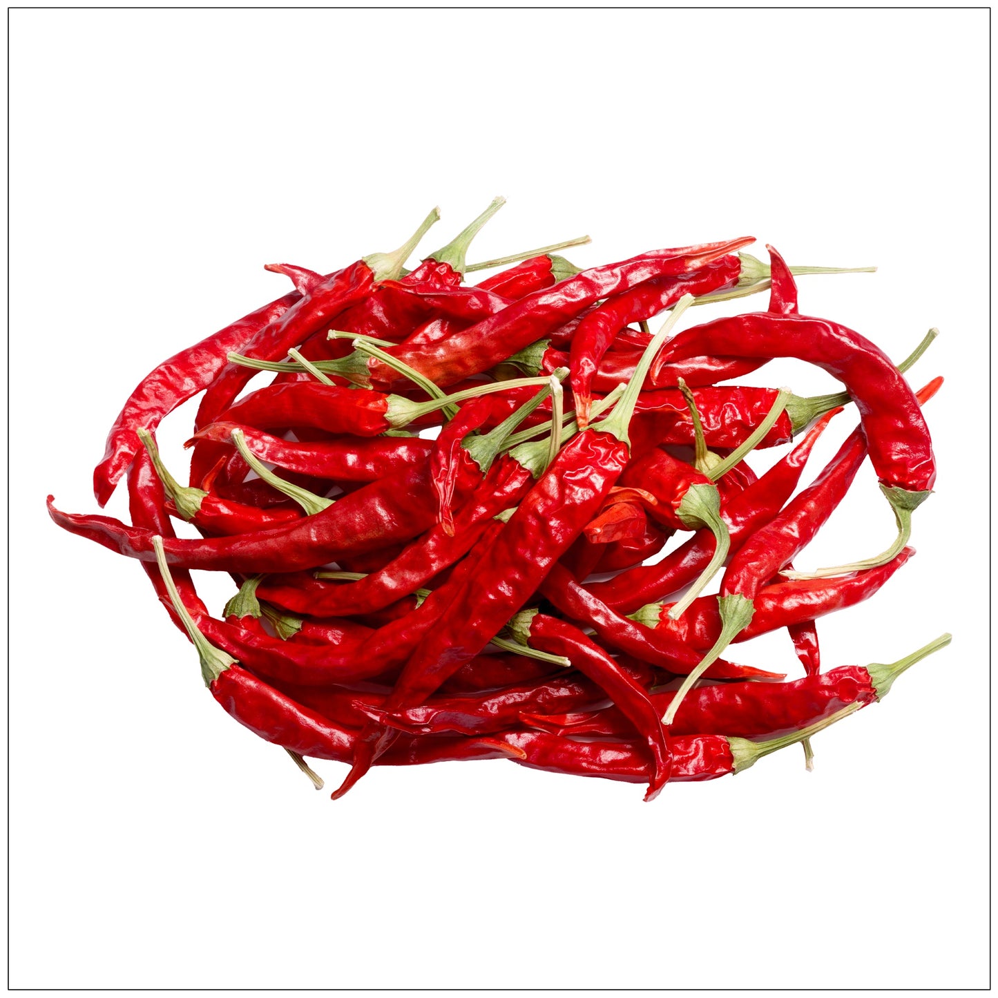 Arbol Chili