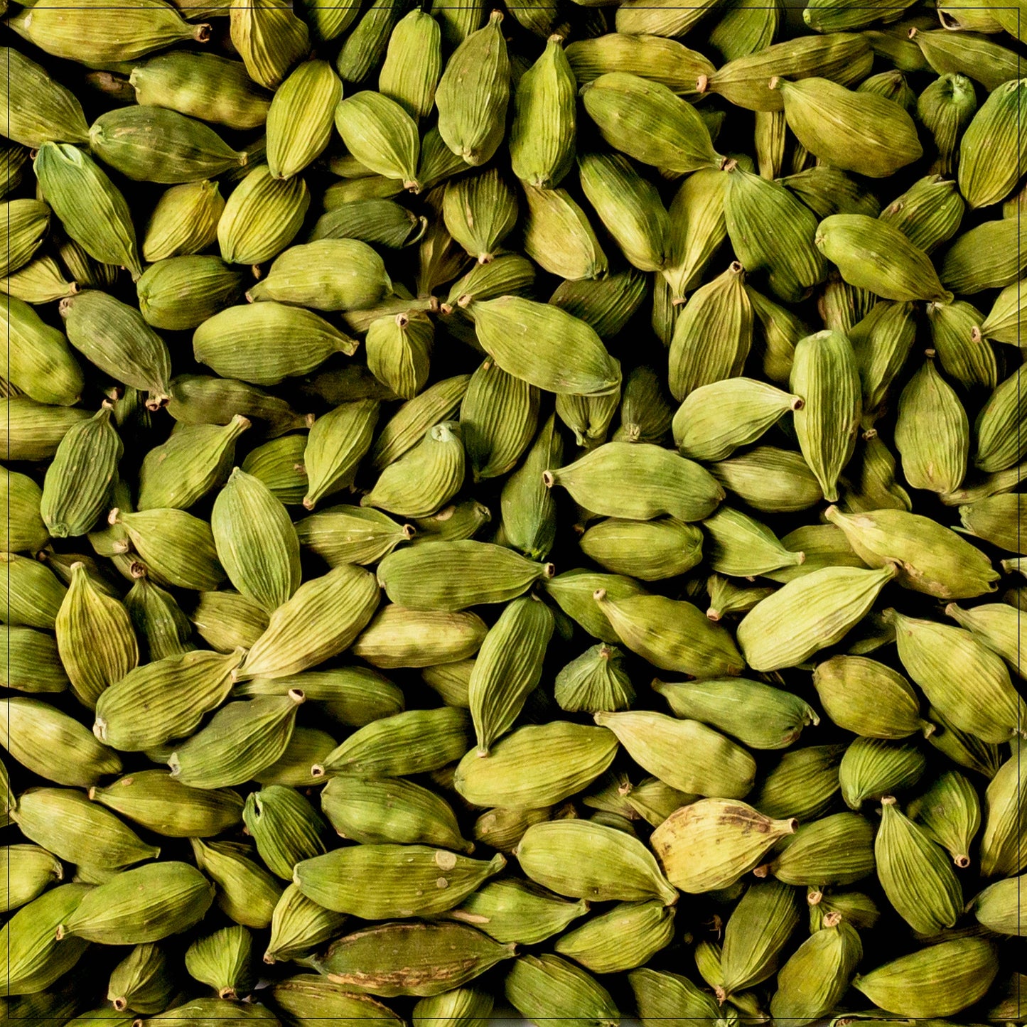 Green Cardamom Pods