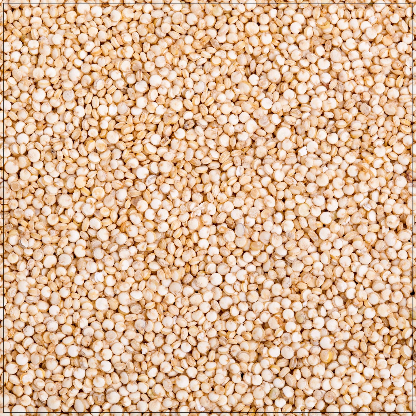 Quinoa White