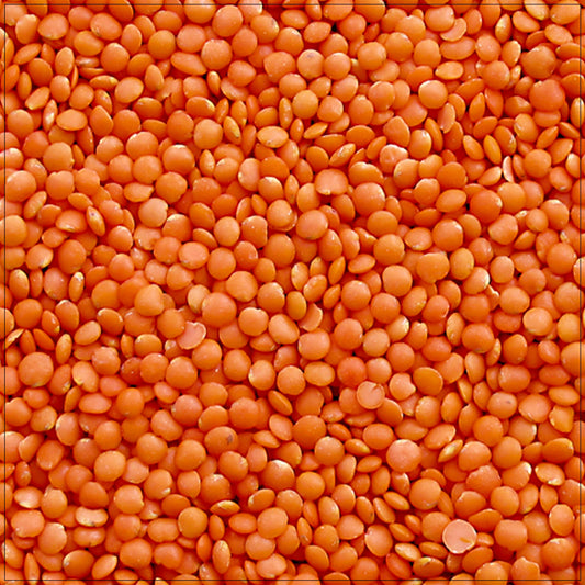 Red Lentils Whole