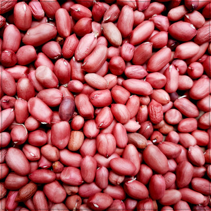 Red Skin Raw Peanuts