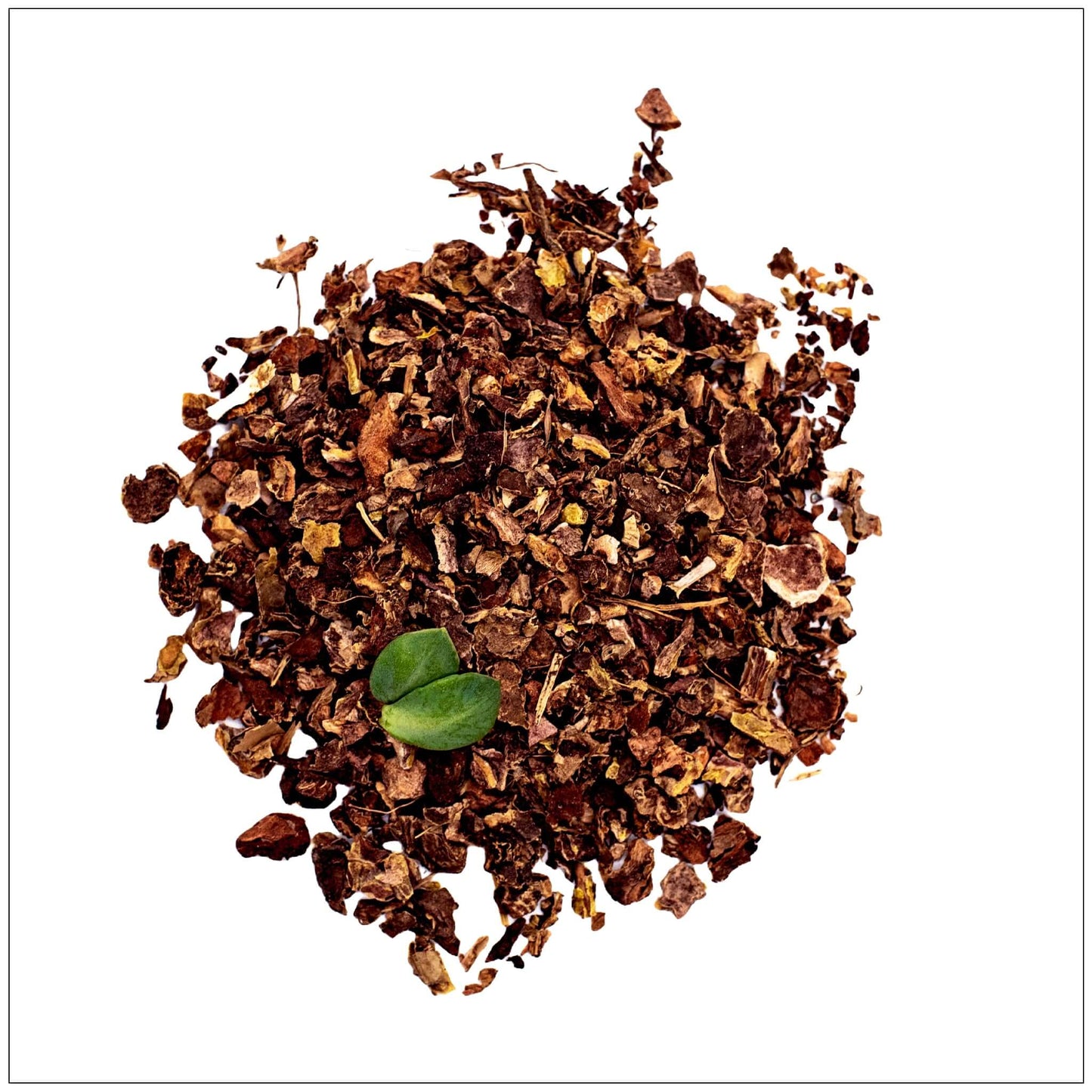 Rhodiola Rosea