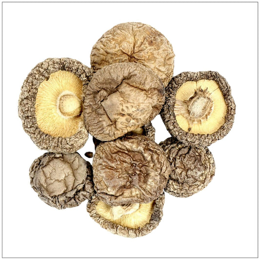 Shiitake Mushroom