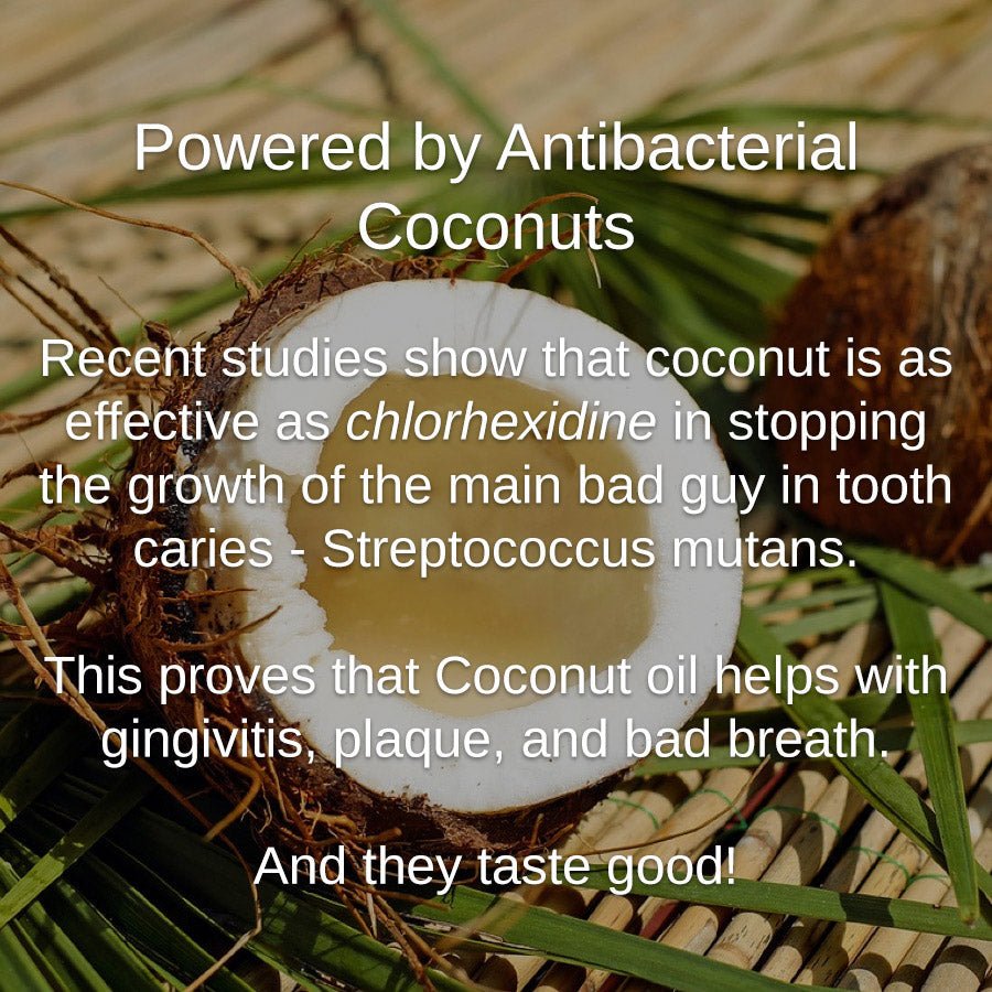 Shwally - For Home and Play Shwally Fresh & So Clean Mouth Bundle @ 30% Off