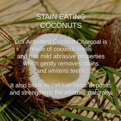 Shwally - For Home and Play Shwally Magical Hydroxyapatite Egg Shell & Coconut Charcoal Tooth Powder