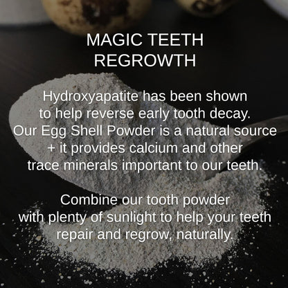Shwally - For Home and Play Shwally Magical Hydroxyapatite Egg Shell & Coconut Charcoal Tooth Powder
