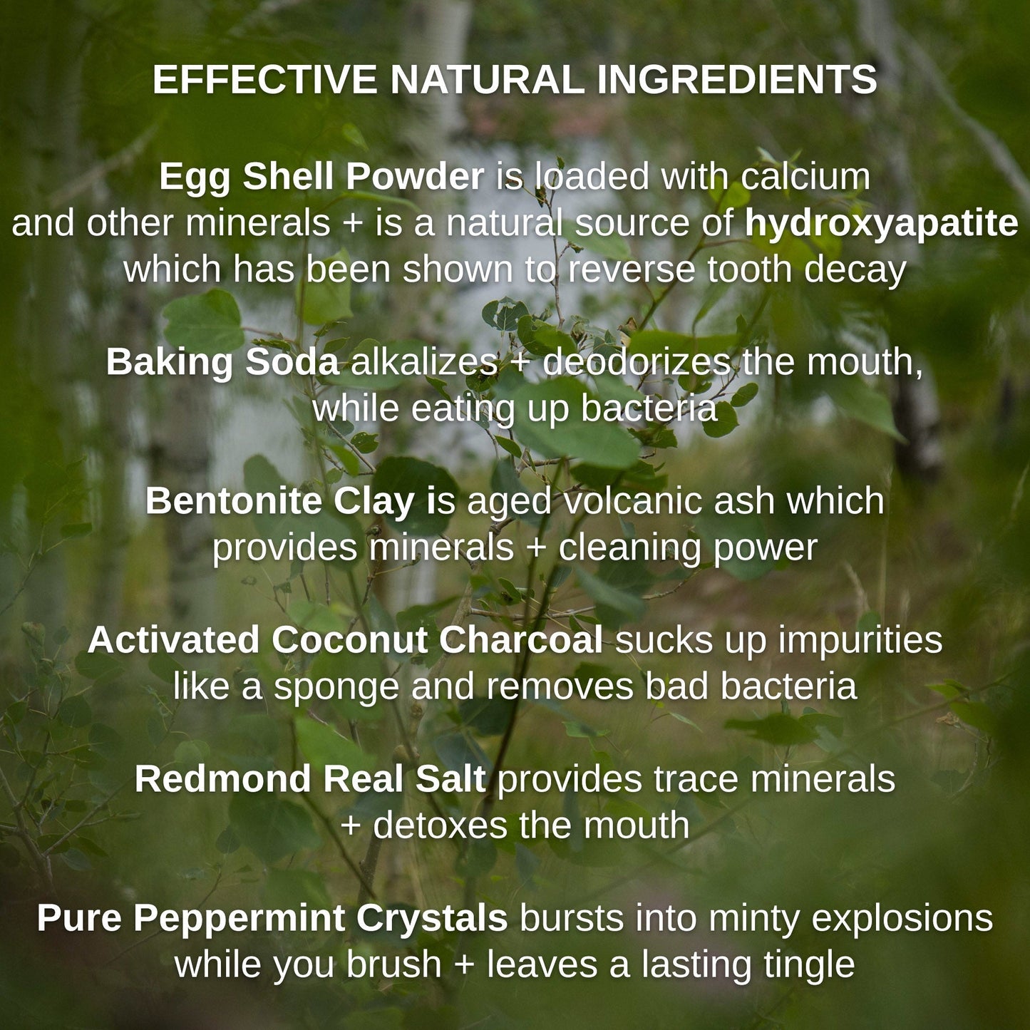 Shwally - For Home and Play Shwally Magical Hydroxyapatite Egg Shell & Coconut Charcoal Tooth Powder