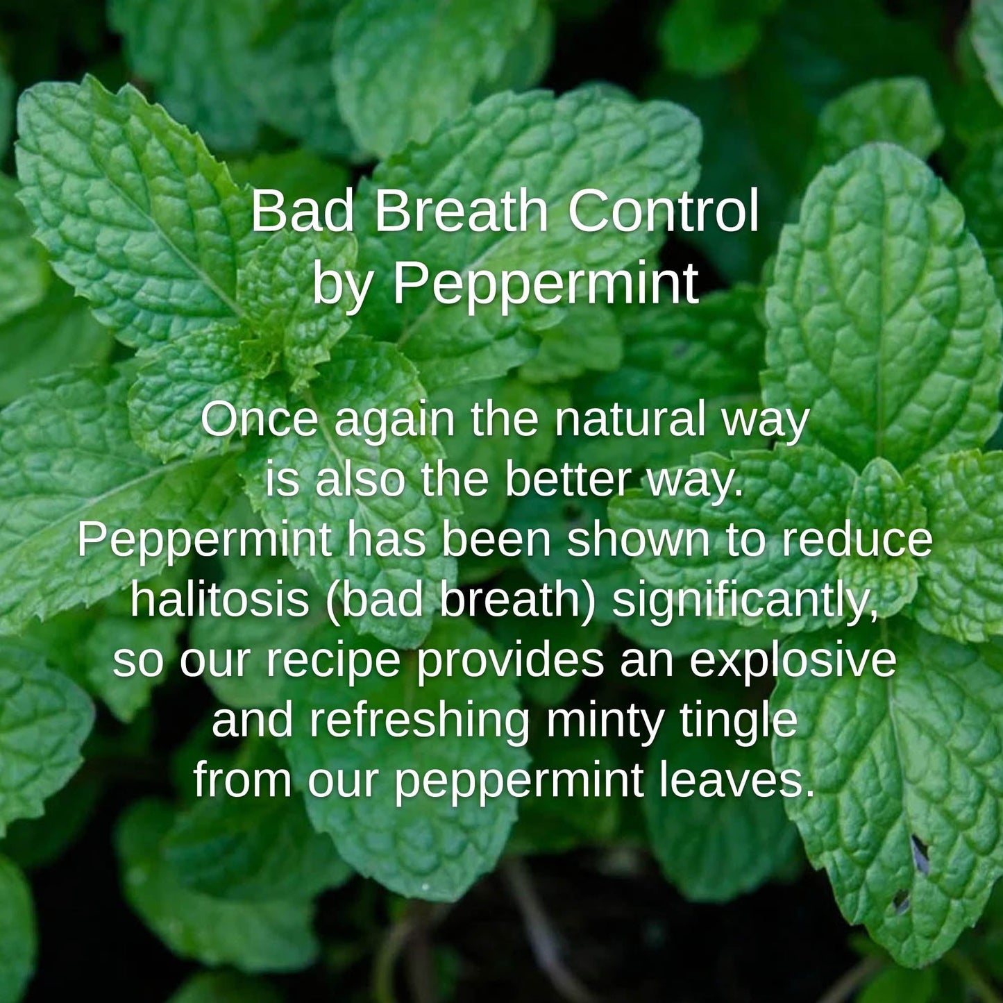 Shwally - For Home and Play Shwally Peppermint Coconut Mouth Rinse 8OZ