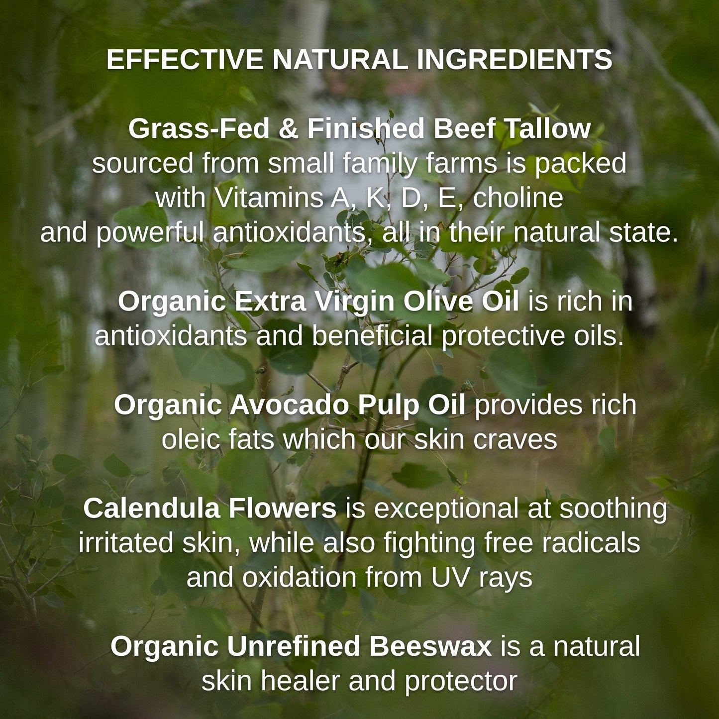 Shwally - For Home and Play Shwally Tallow & Calendula Face & Body Balm