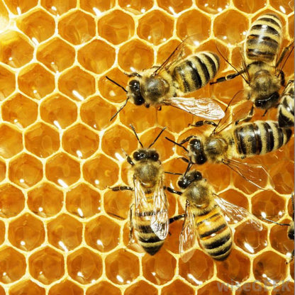 Shwally - For Home and Play Shwally Zinc & Avocado Mineral SunBalm