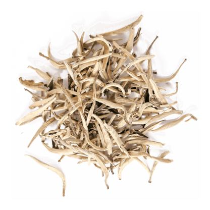 Open Door Tea Silver Needle