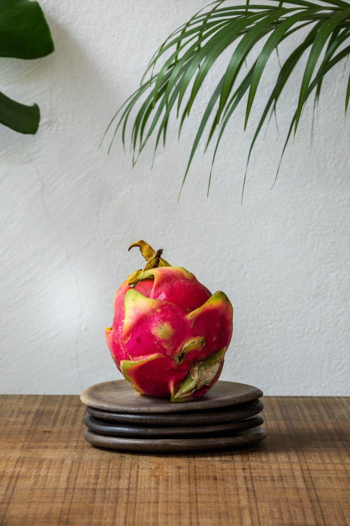 Wool+Clay Small Ceramic Platito