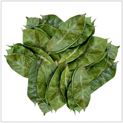 Soursop Leaf Dried Natural Non GMO