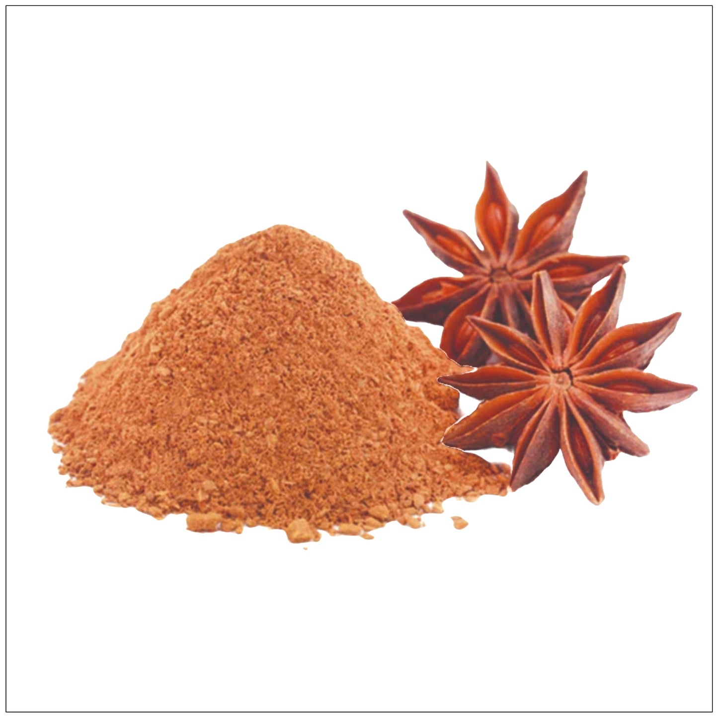 Star Anise Powder