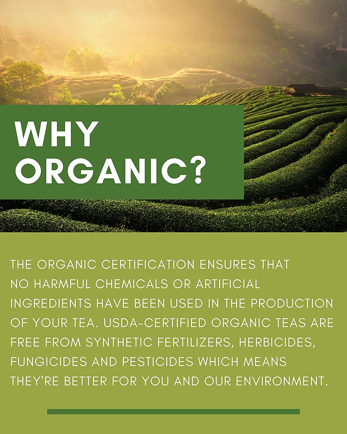 Gardenika Lemon Spearmint Tea, Loose Leaf, USDA Organic, Kosher, Caffeine Free – 4 Oz (113g)