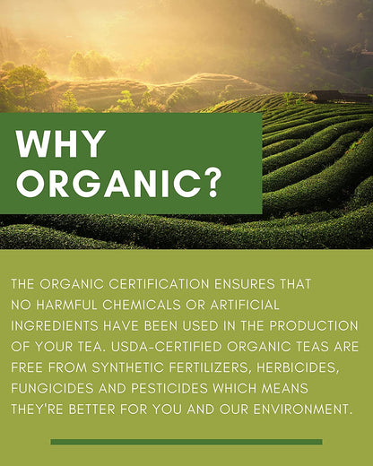 Gardenika Lemon Spearmint Tea, Loose Leaf, USDA Organic, Kosher, Caffeine Free – 4 Oz (113g)