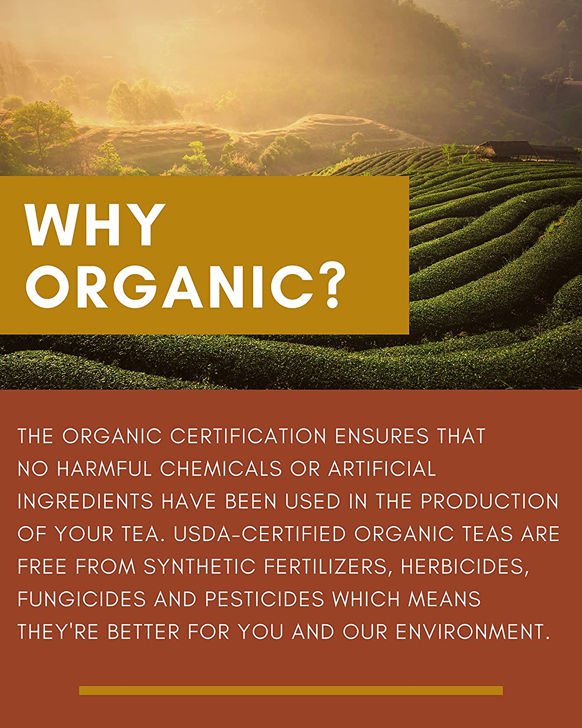 Lemon Essence Black Loose Leaf Tea with Green Rooibos, USDA Organic, 55+ Cups – 4 Oz (113g)