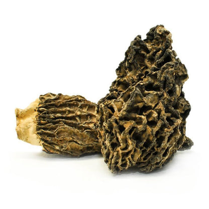 Mush Hub Dried Wild Mushrooms Assortment