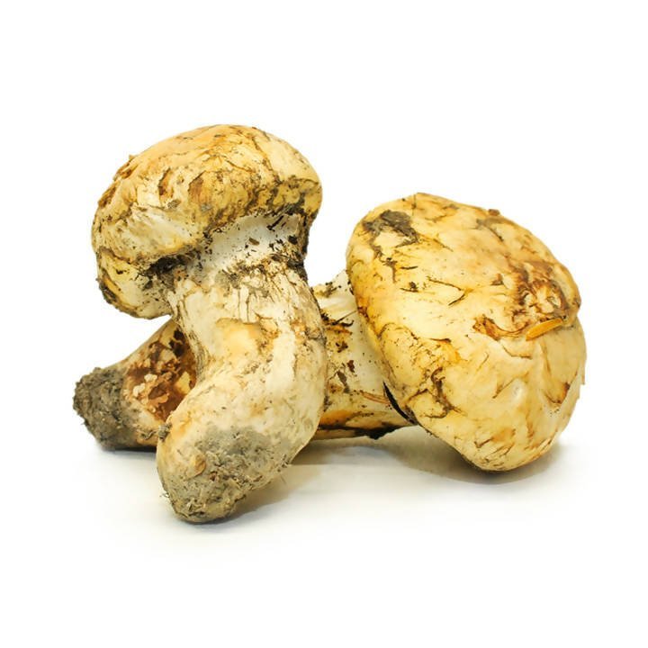 Mush Hub Dried Wild Mushrooms Assortment
