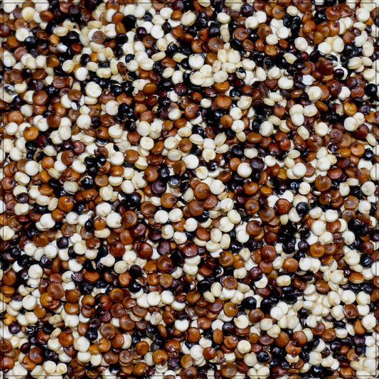 Tri-Color Quinoa