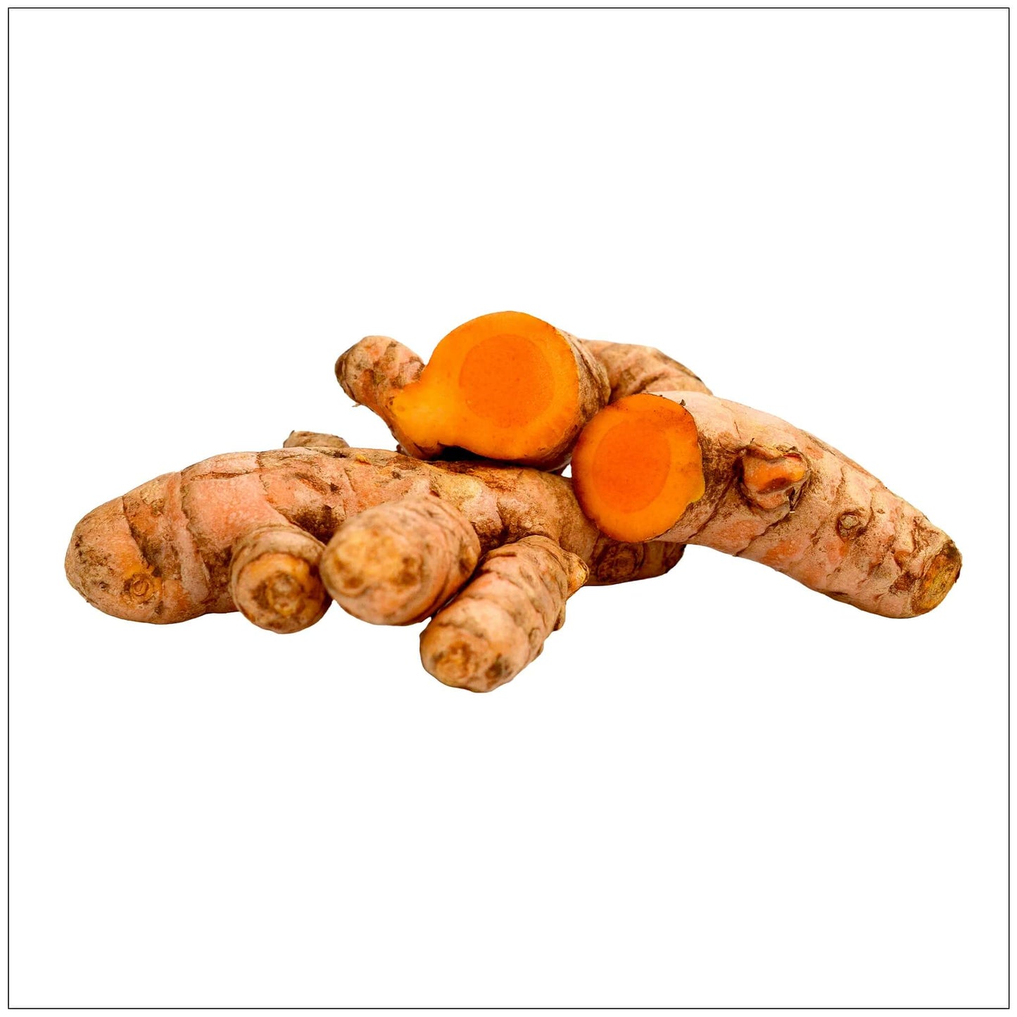 Turmeric Root Fresh