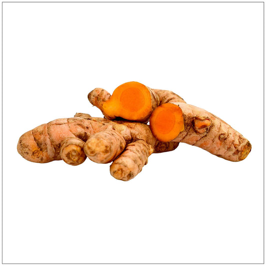 Turmeric Root Fresh