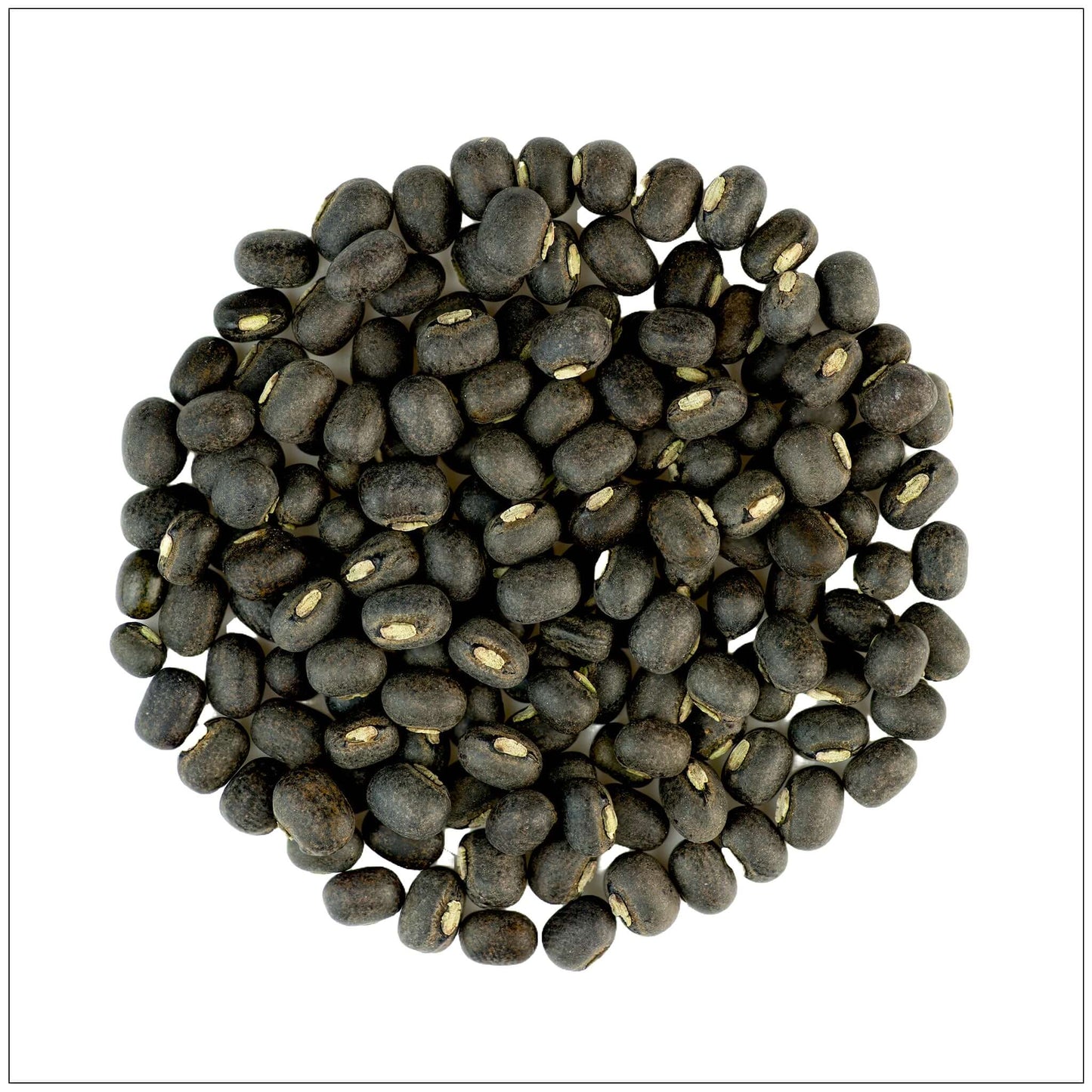 Urad Lentils