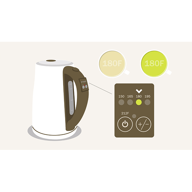 BURN-FREE Design Electric Tea Kettle