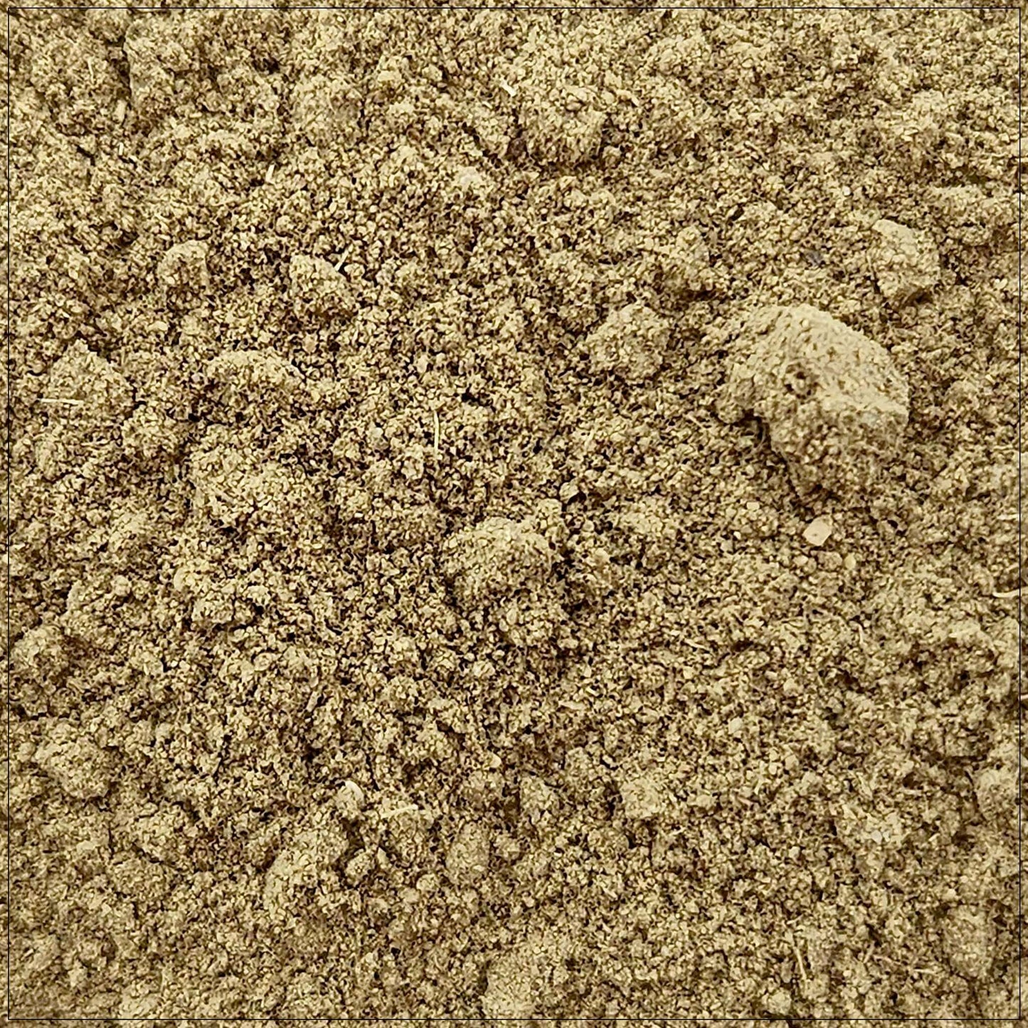 Uva Ursi Powder