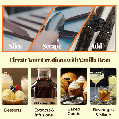 Wholesale Grade A Vanilla Beans  Premium Bulk Pods