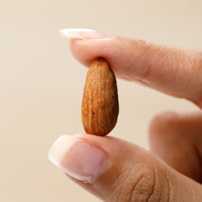Gut Nuts - Fermented Almonds
