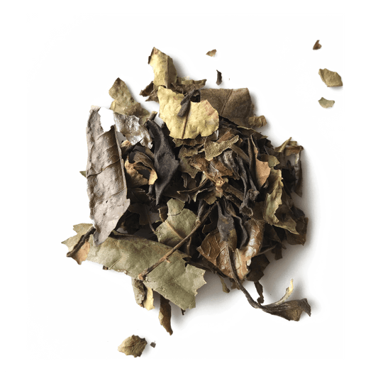 Open Door Tea White Peony