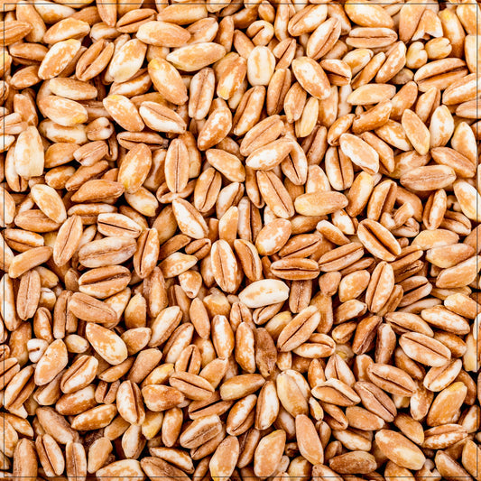 Whole grain farro