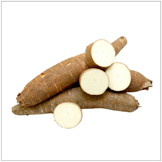 Yucca Root